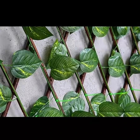 Recupera tu privacidad y dale vida a tus espacios 🌿✨