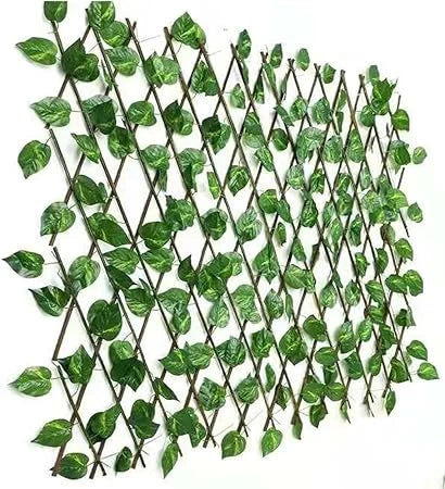 Recupera tu privacidad y dale vida a tus espacios 🌿✨