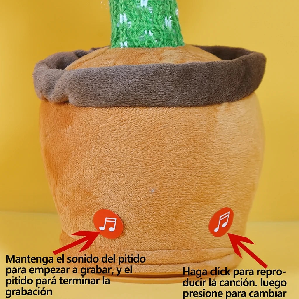 Encabezado