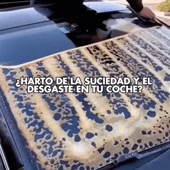 Encabezado