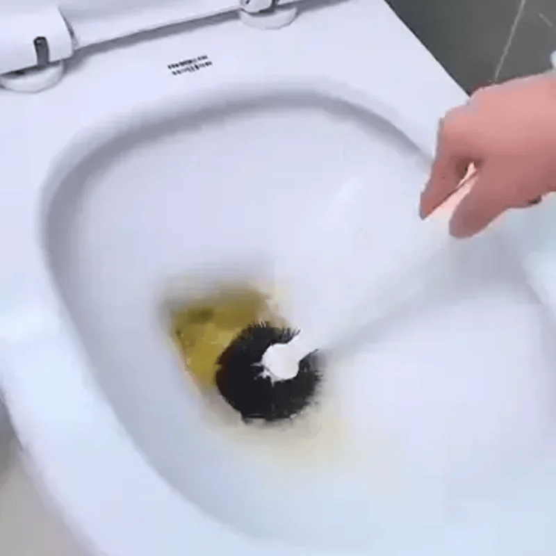 Encabezado