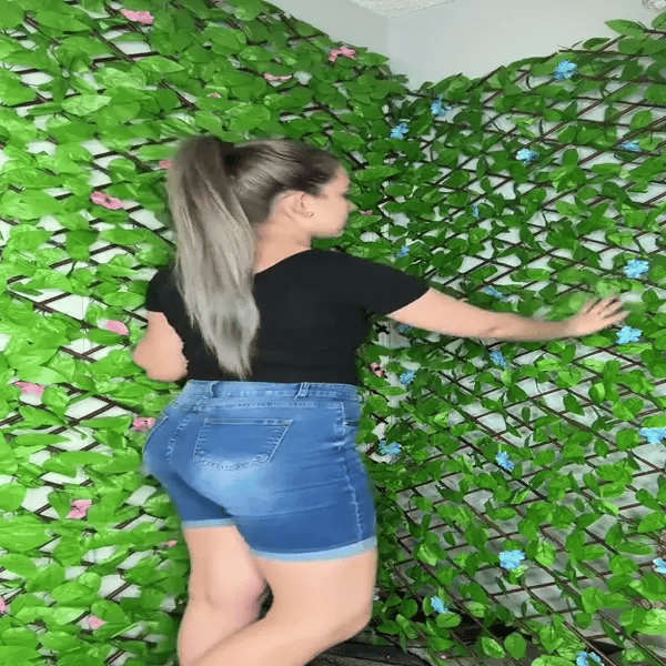 Encabezado