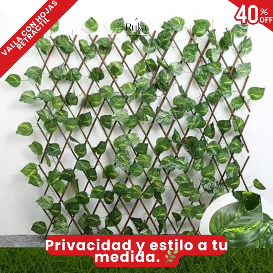 Recupera tu privacidad y dale vida a tus espacios 🌿✨