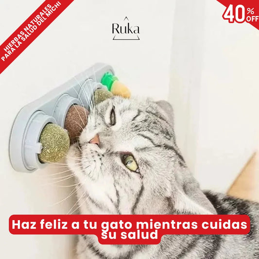 MichiZen - Felicidad y bienestar en cada maullido
